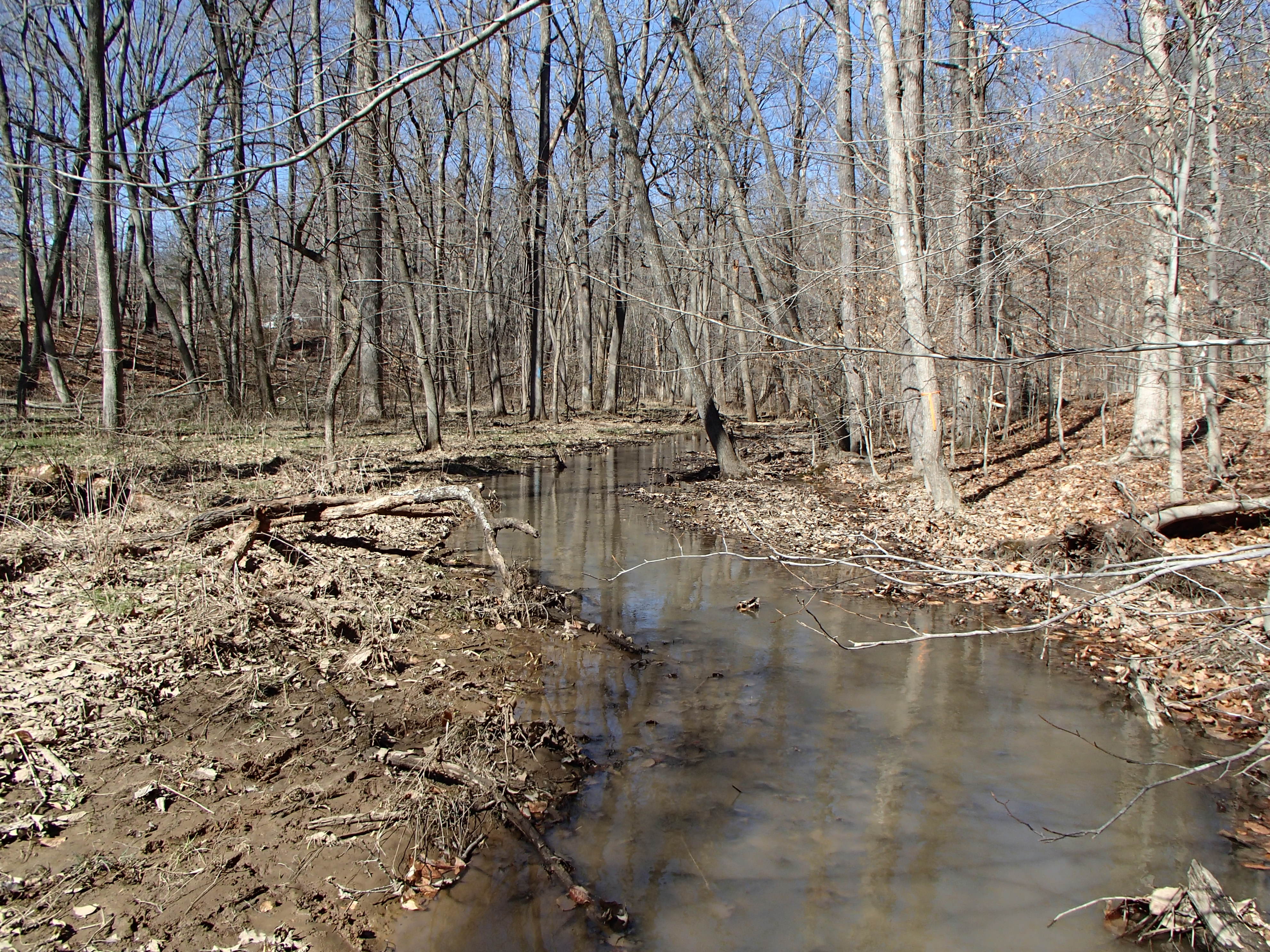 Field photo showing stream conditions at site WEST-109-X-2016_midpoint looking upstream